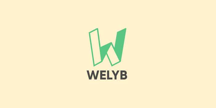 +2131 nouveaux clics sur le canal « Search » pour Welyb